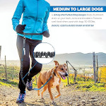 Hands Free Dog Leash Bungee Leash with Reflective Stitching