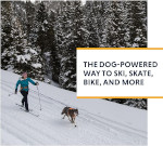 Ruffwear - Omnijore System for Dog Joring